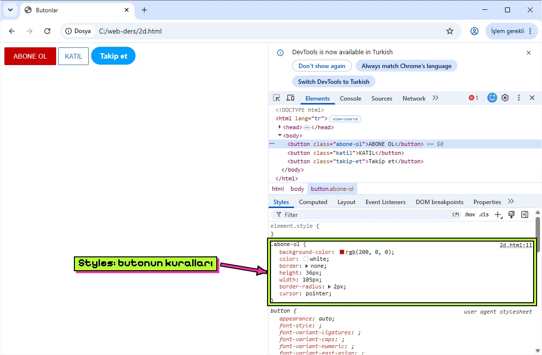 Chrome'da açık DevTools; bir buton seçili ve Styles panelinde kuralları görünüyor